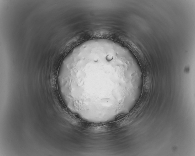 X0000097300569200803071754