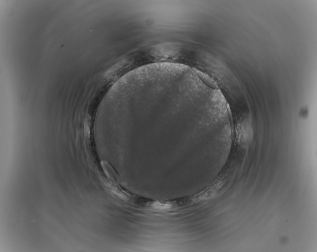 X0000097300570200803071755