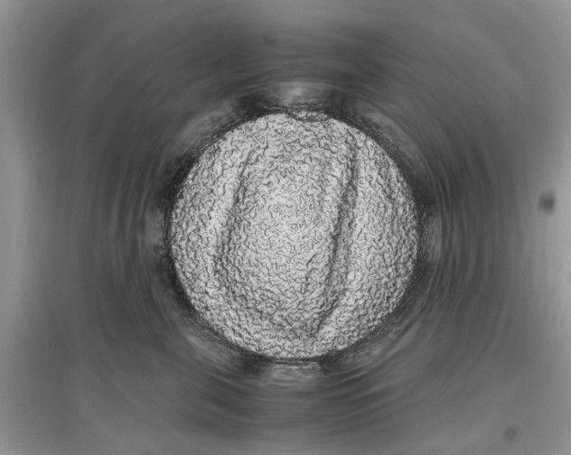 X0000097300571200803071755