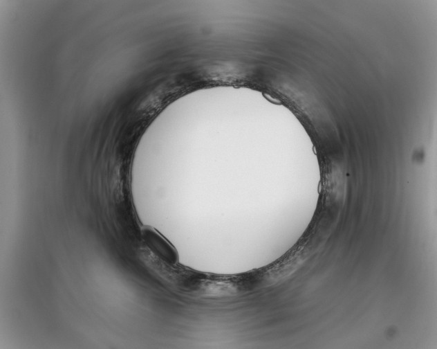 X0000097300572200803071755