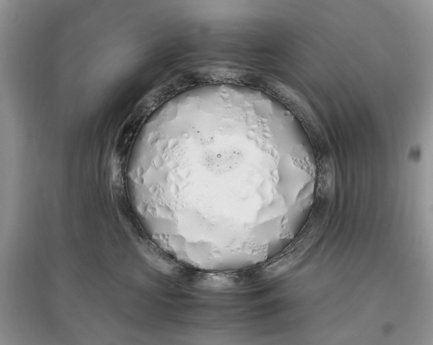 X0000097300573200803071755