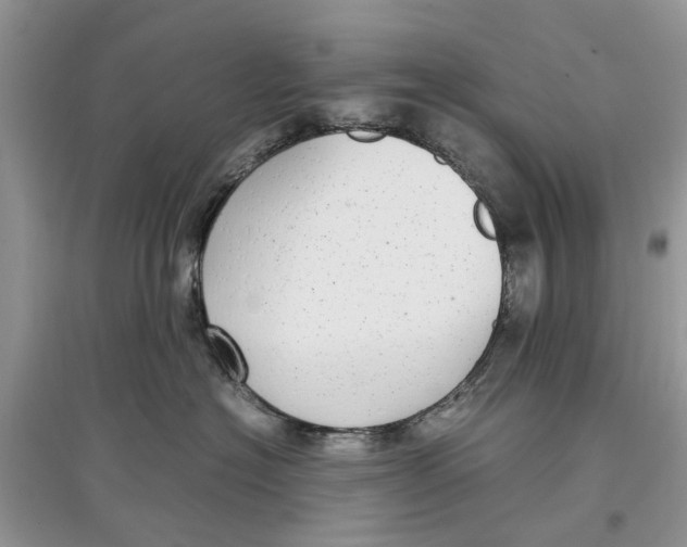 X0000097300574200803071755