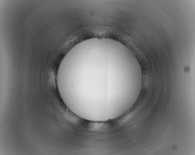 X0000097300575200803071755