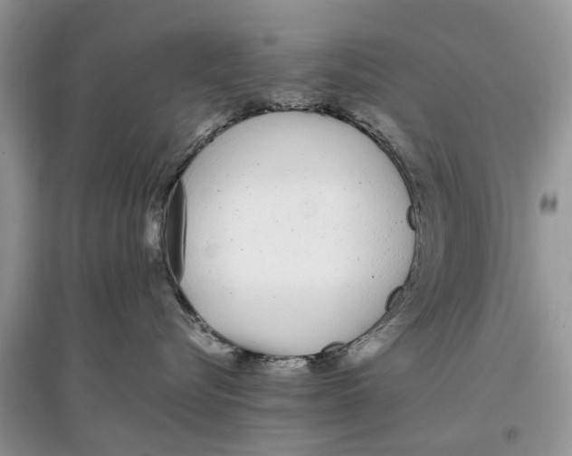 X0000097300576200803071755