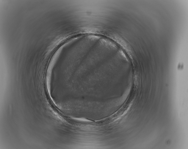 X0000097300577200803071754