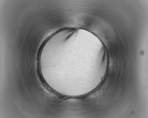 X0000097300578200803071754