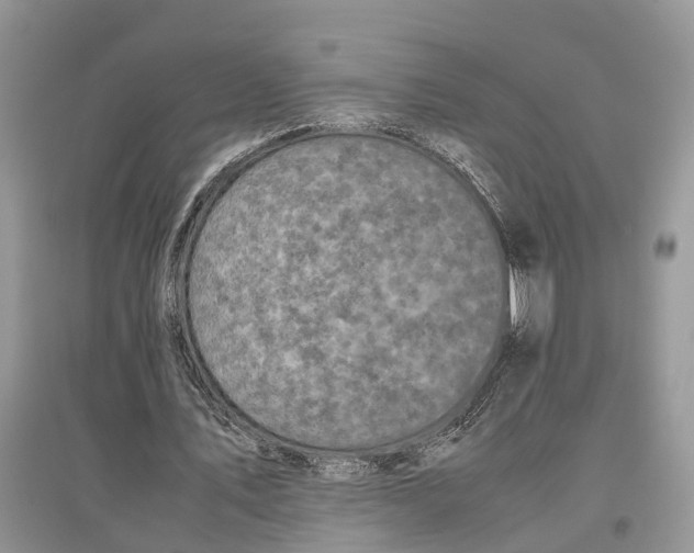 X0000097300579200803071754