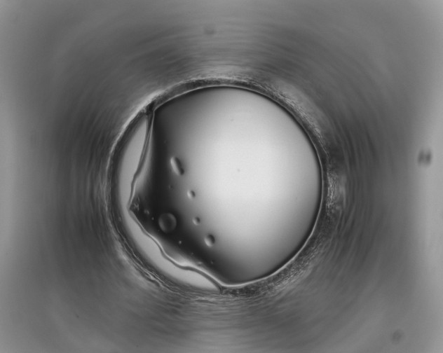 X0000097300580200803071754