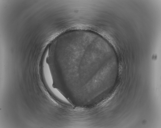 X0000097300581200803071754