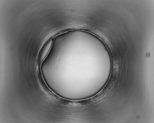 X0000097300582200803071754