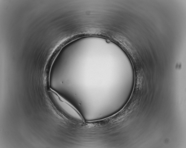 X0000097300584200803071754