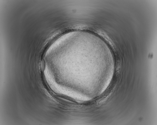 X0000097300585200803071754