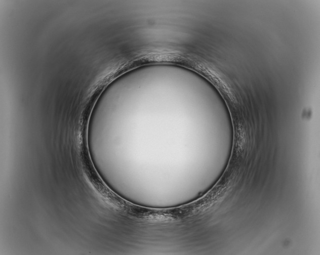 X0000097300586200803071754