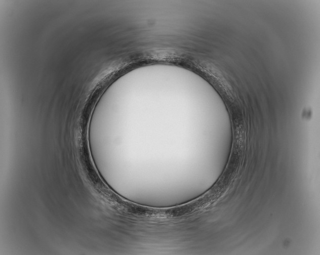 X0000097300587200803071754