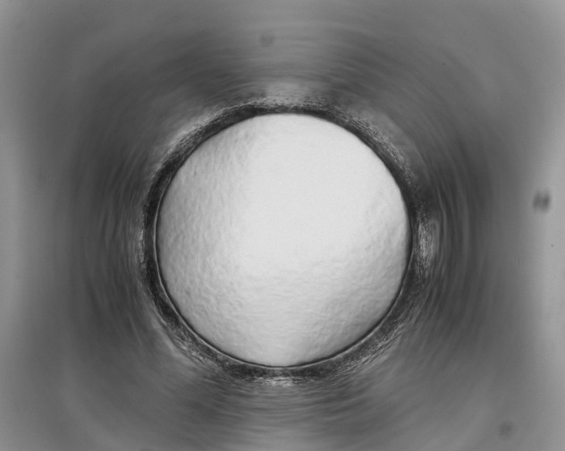 X0000097300588200803071754