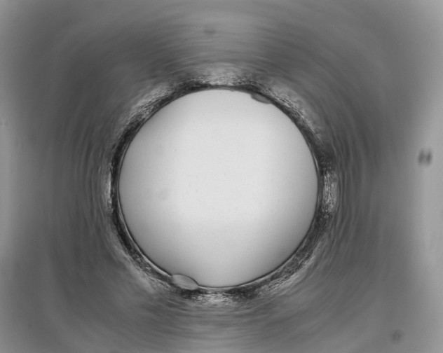 X0000097300589200803071754