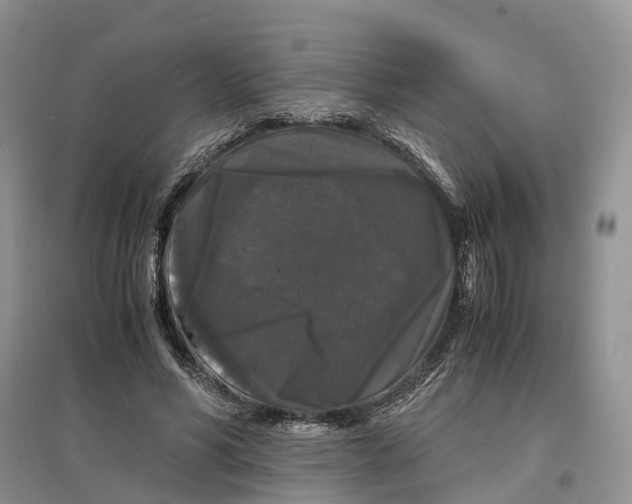 X0000097300590200803071754