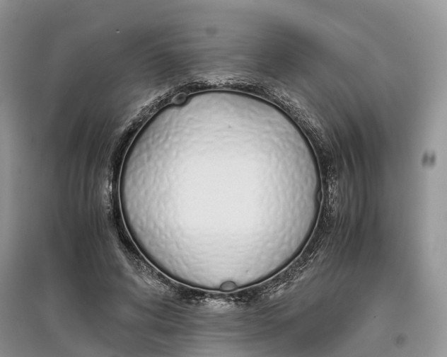 X0000097300592200803071754