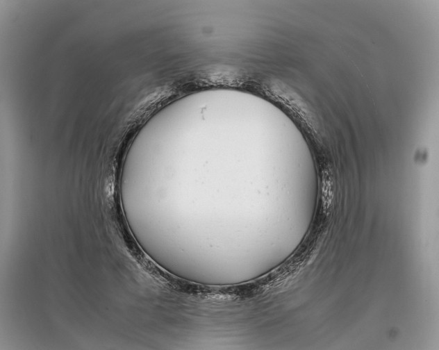 X0000097300593200803071754