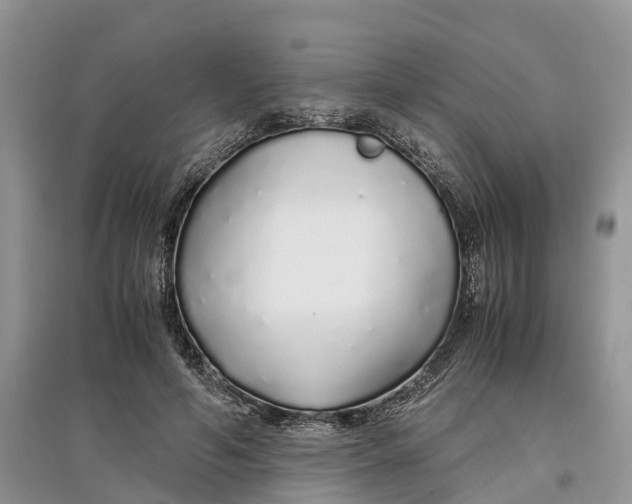 X0000097300594200803071754