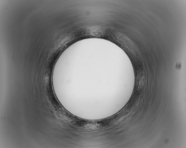 X0000097300595200803071754