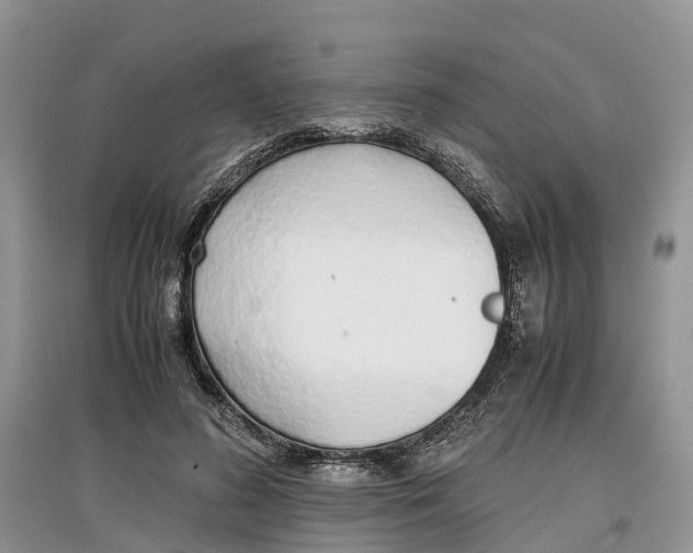 X0000097300596200803071754