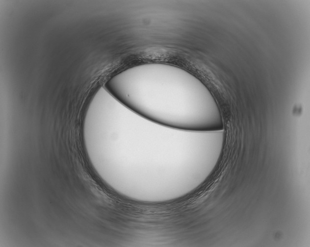 X0000097300597200803071754