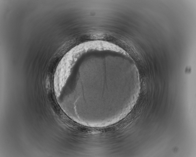 X0000097300598200803071754