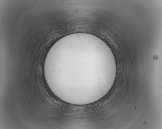 X0000097300599200803071754