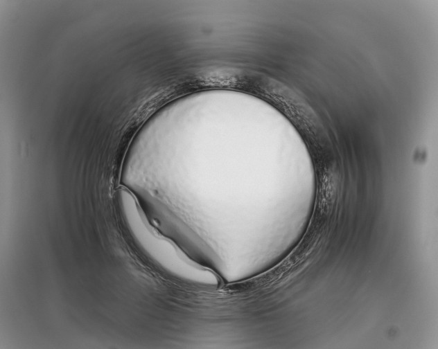 X0000097300600200803071754