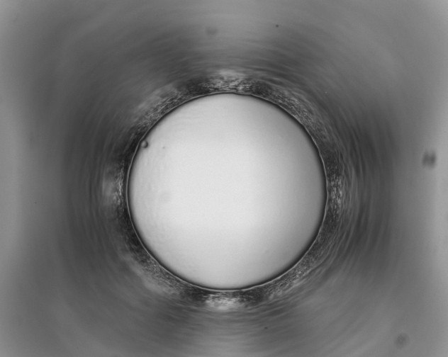 X0000097300602200803071754