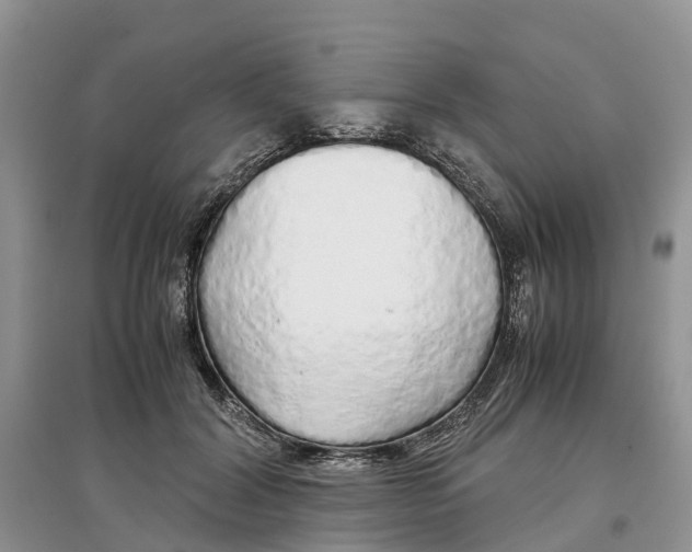 X0000097300604200803071754