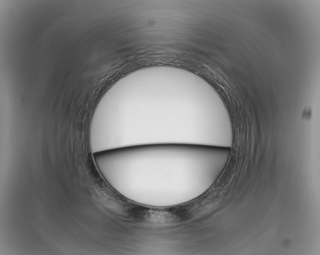 X0000097300605200803071754