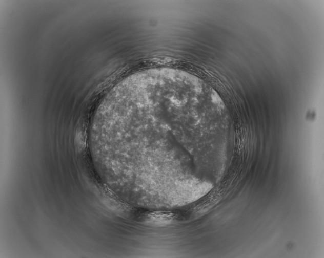 X0000097300606200803071754