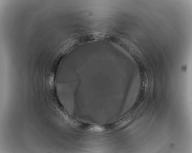 X0000097300610200803071754