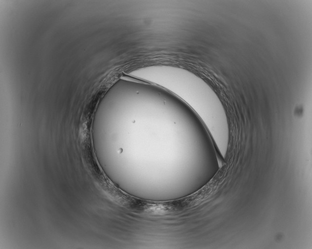 X0000097300611200803071754