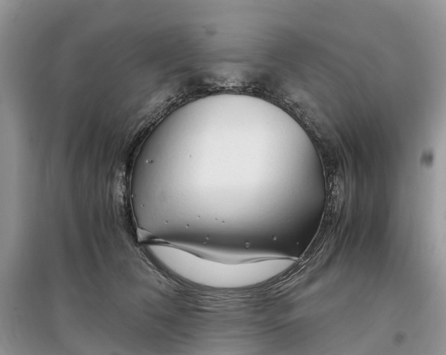 X0000097300612200803071754