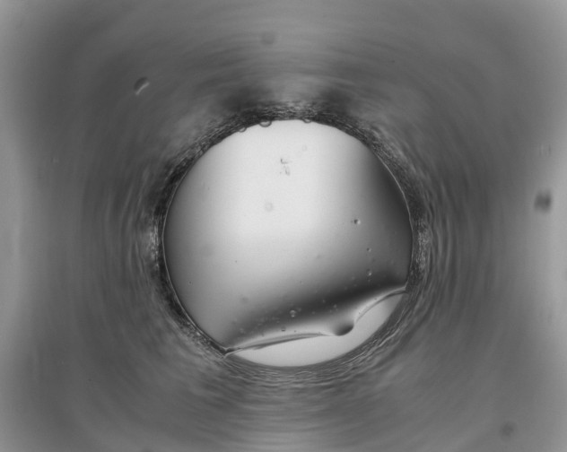 X0000097300613200803071754