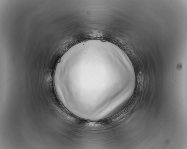 X0000097300614200803071753