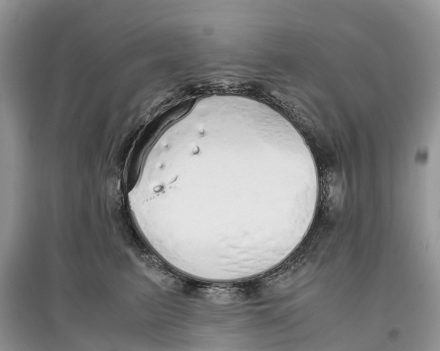 X0000097300615200803071753