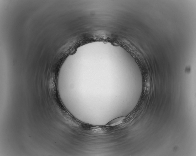 X0000097300616200803071753