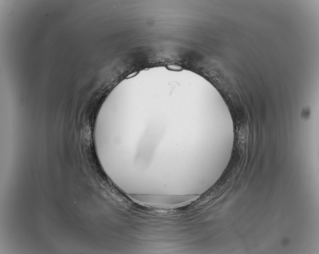 X0000097300617200803071753