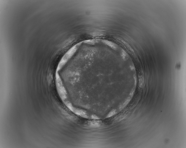 X0000097300618200803071753