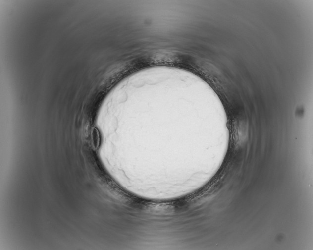 X0000097300619200803071753