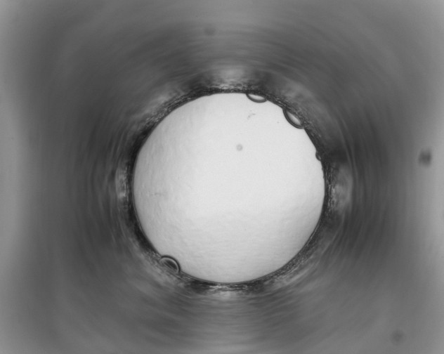 X0000097300620200803071753