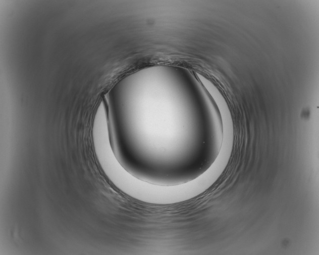 X0000097300621200803071753