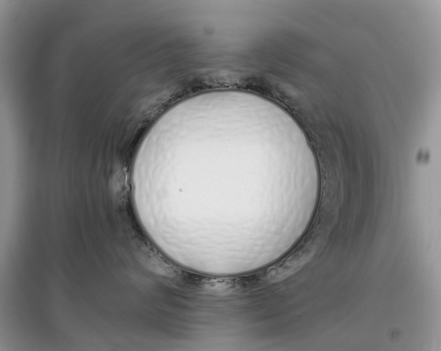 X0000097300624200803071753