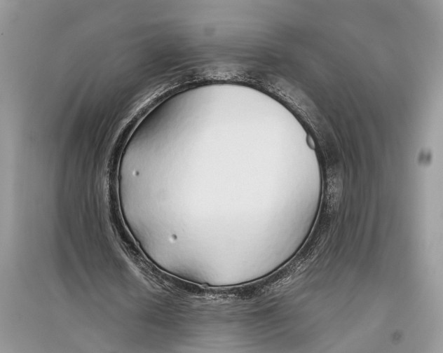 X0000097300626200803071753