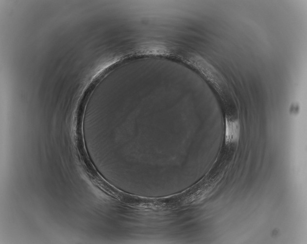 X0000097300627200803071753