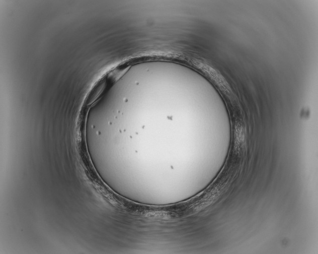 X0000097300628200803071753